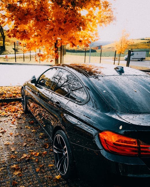 Black car parked on a wet street under vibrant orange autumn foliage after rain, suggesting reliable Carinsurance4less coverage.