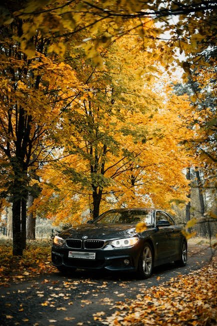 Luxury car navigating a scenic road surrounded by vibrant autumn trees, symbolizing high-quality Carinsurance4less.