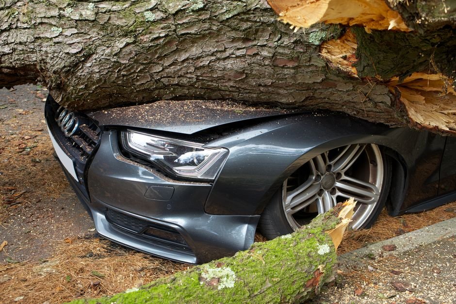 compare.com car insurance - A vehicle damaged by a fallen tree after an accident in the United Kingdom.