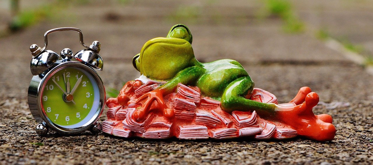 money.com - time is money, money calms down, sleep, heaps of money, frog, figure, fun, cute, nature, decoration, green, animal